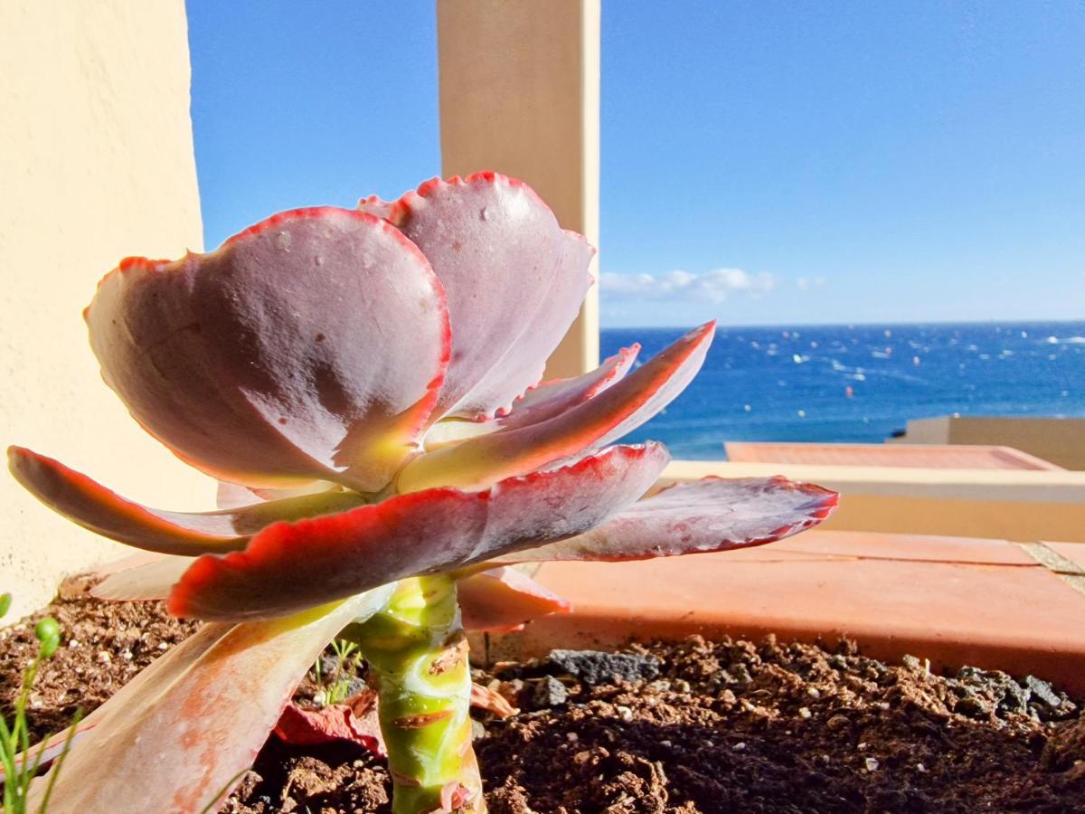 Medano4You The Ocean Terrace Penthouse Ель-Медано Екстер'єр фото